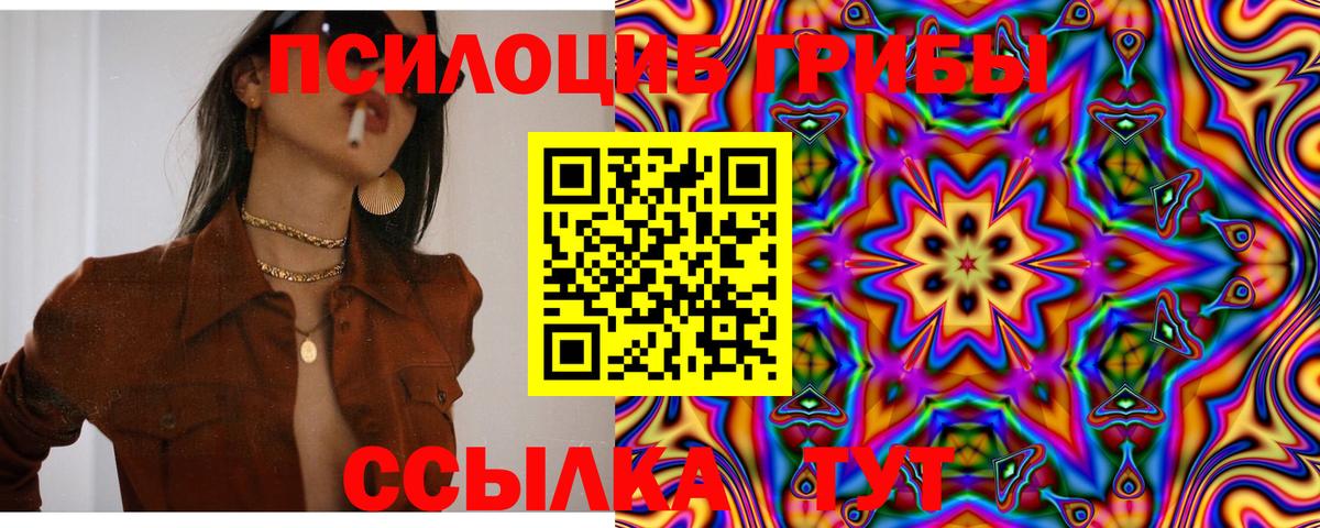 Псилоцибиновые грибы Cubensis  Вход с VPN  Ефремов 