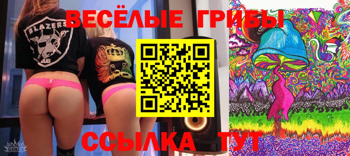 Псилоцибиновые грибы Magic Shrooms Ефремов